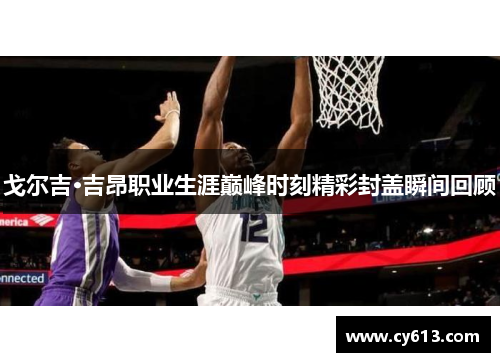 戈尔吉·吉昂职业生涯巅峰时刻精彩封盖瞬间回顾