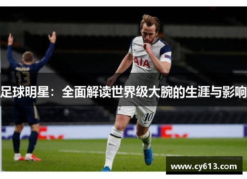 足球明星：全面解读世界级大腕的生涯与影响