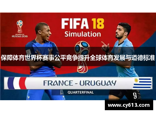 保障体育世界杯赛事公平竞争提升全球体育发展与道德标准