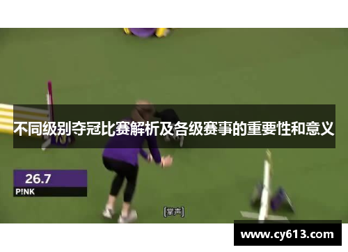 不同级别夺冠比赛解析及各级赛事的重要性和意义
