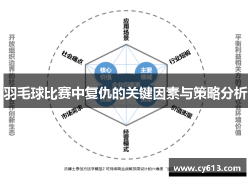 羽毛球比赛中复仇的关键因素与策略分析