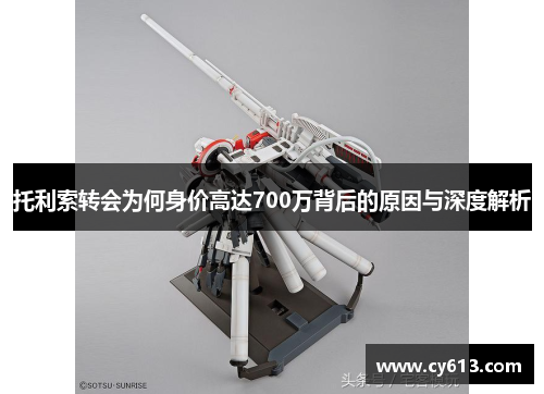 托利索转会为何身价高达700万背后的原因与深度解析