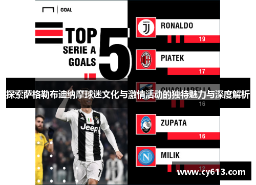 探索萨格勒布迪纳摩球迷文化与激情活动的独特魅力与深度解析